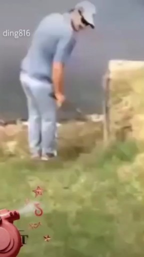 这个技术🐮🐮牛