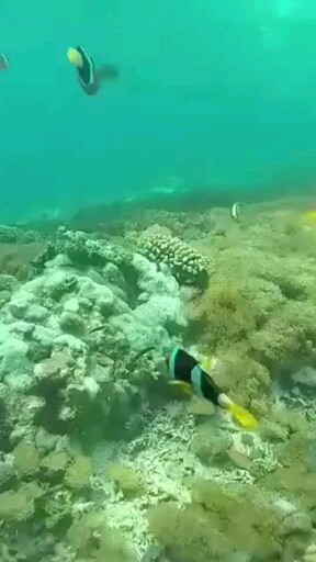 海底世界，