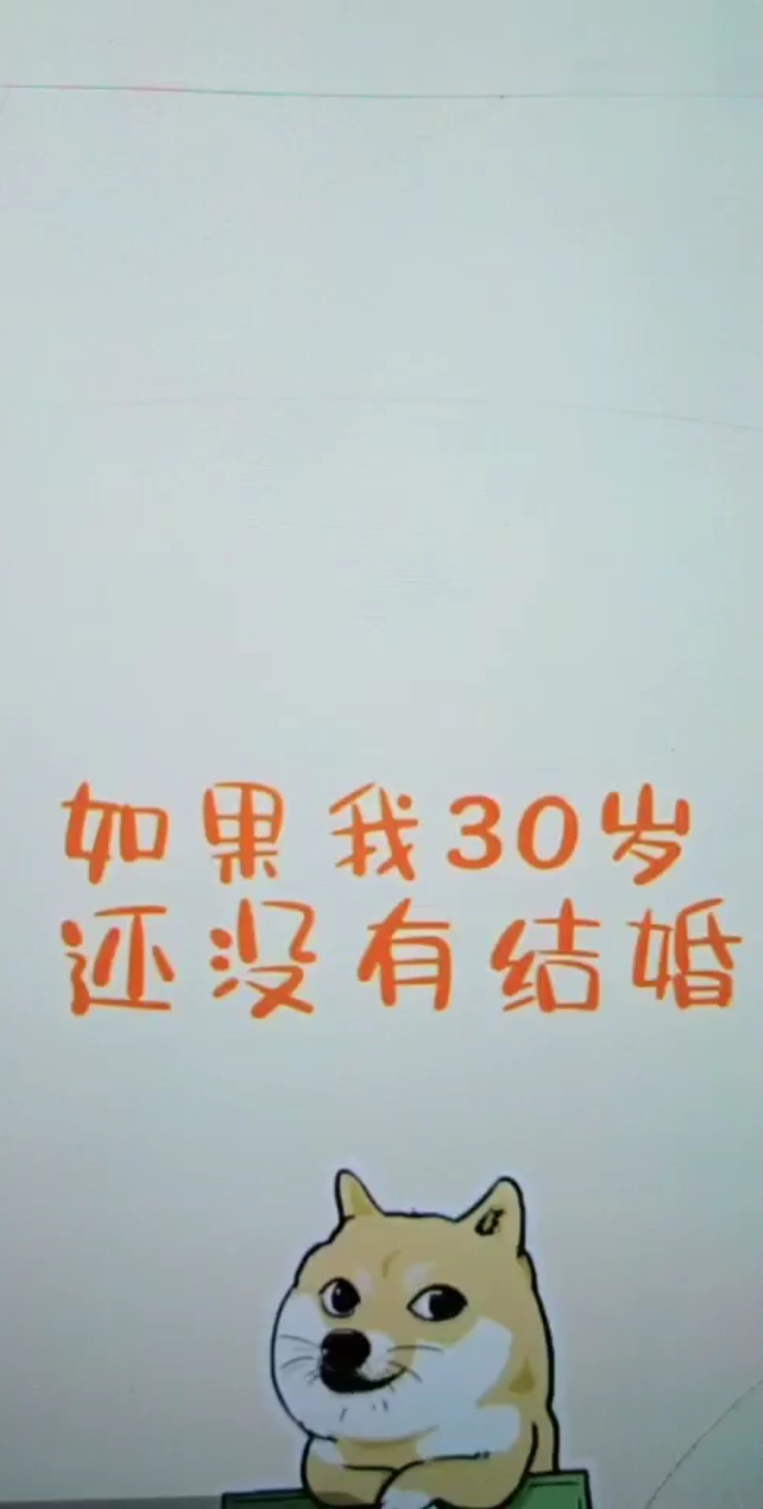 单身狗😜
