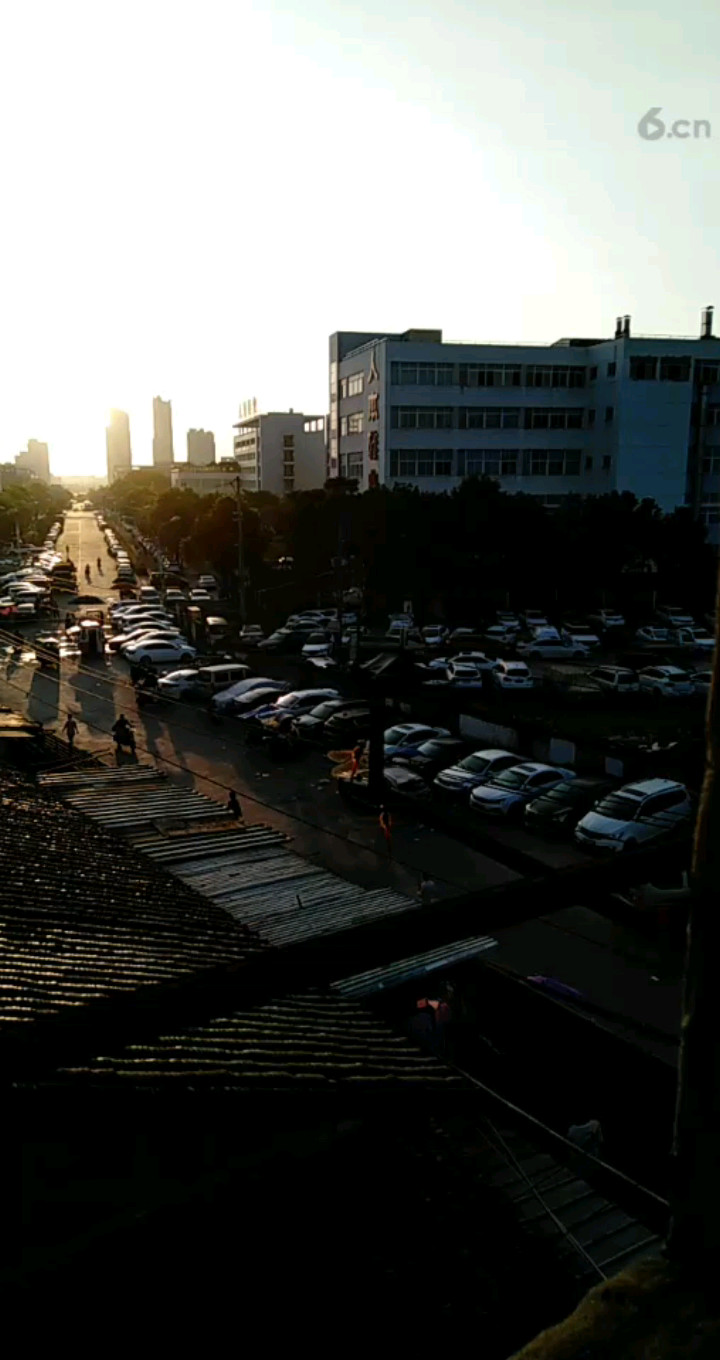 今早上飞了两只蜻蜓过来😂