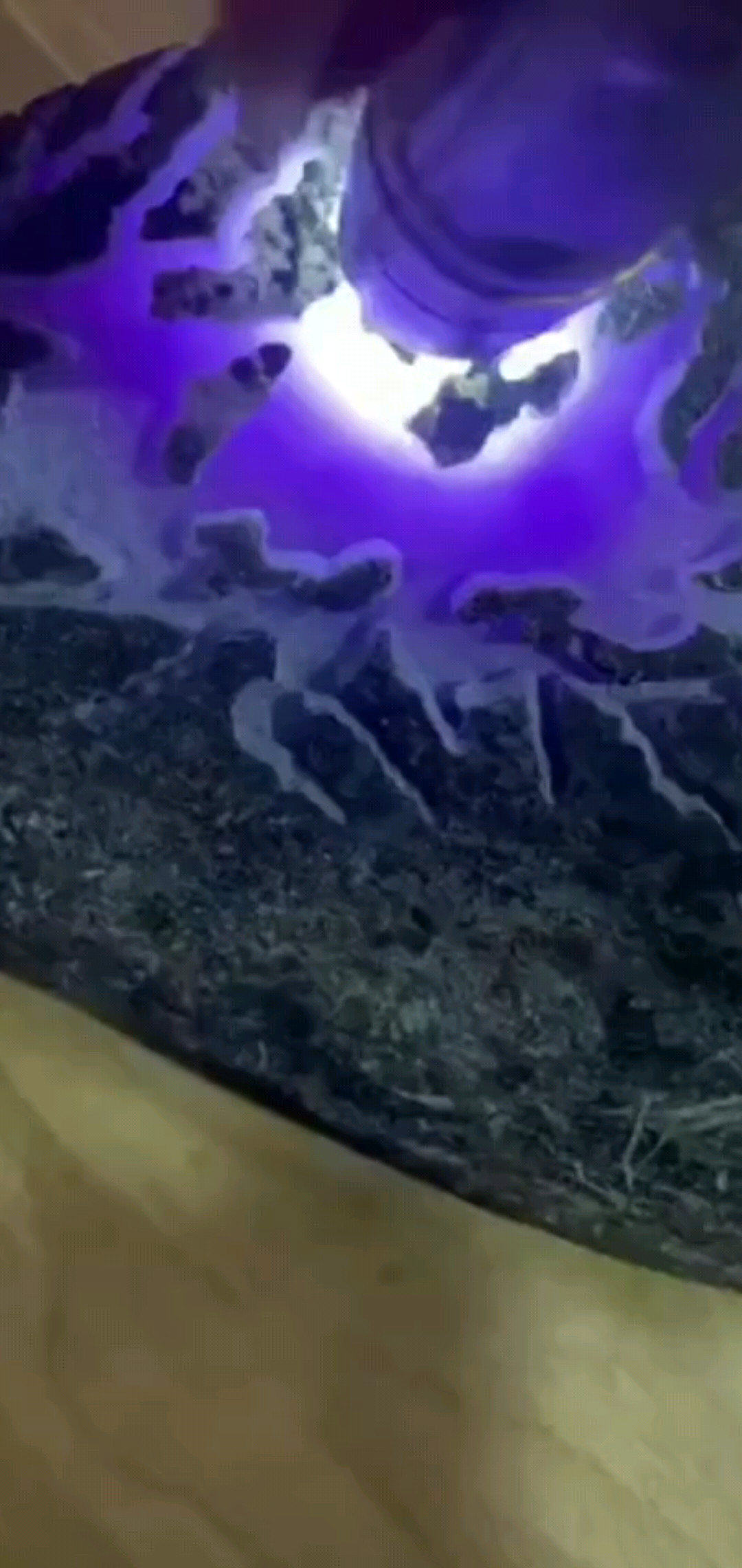 紫罗兰。紫罗兰。