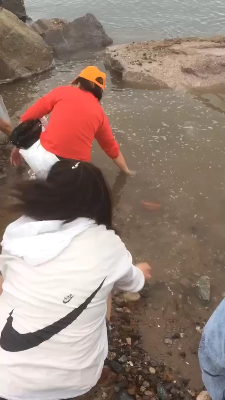 看