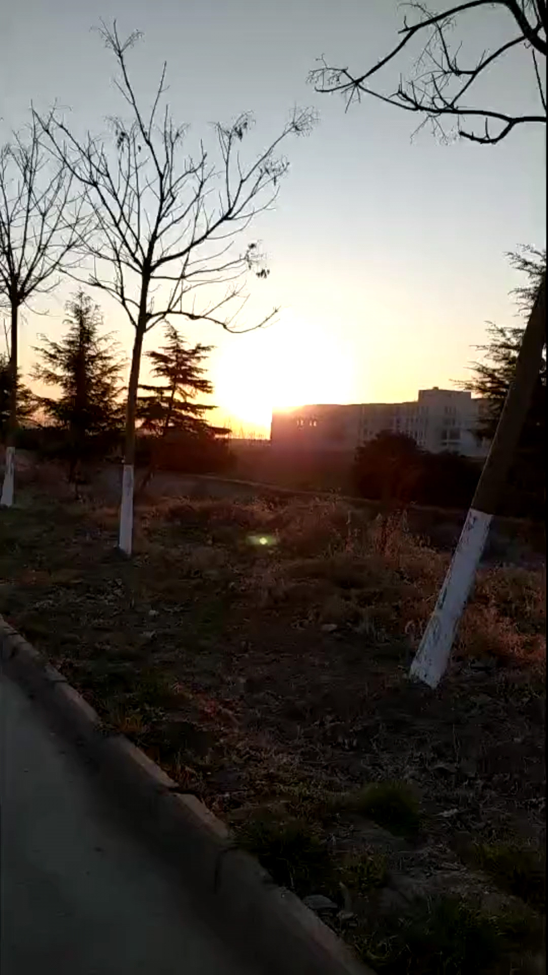 早起运动运动