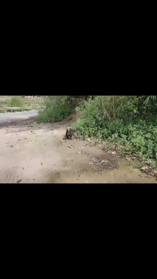 小沙漠好可爱……