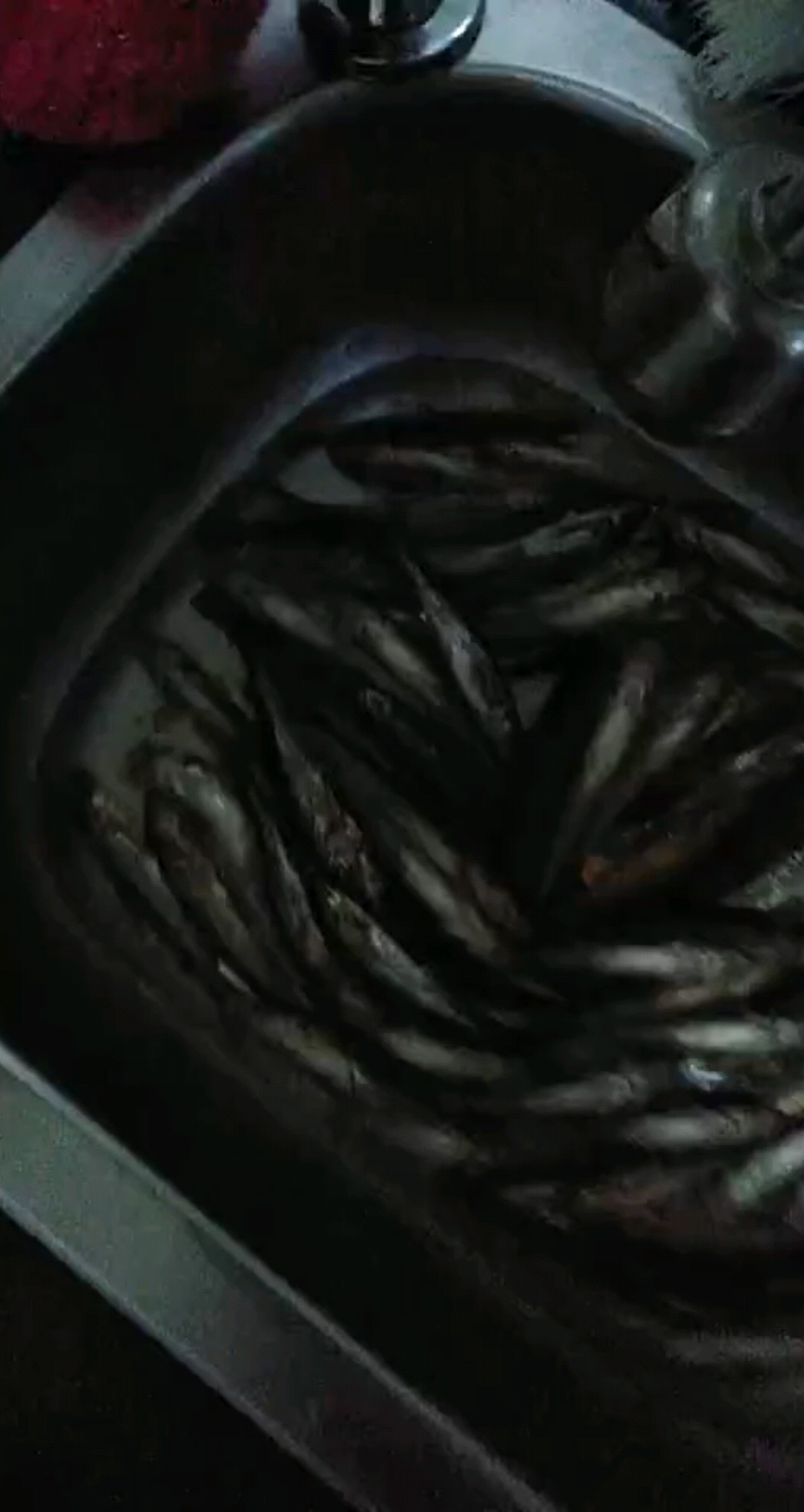 同学钓的 十一有菜了