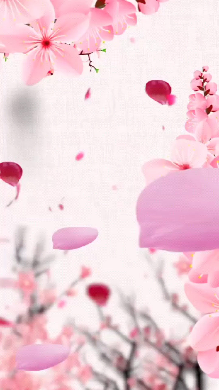 桃花伊人