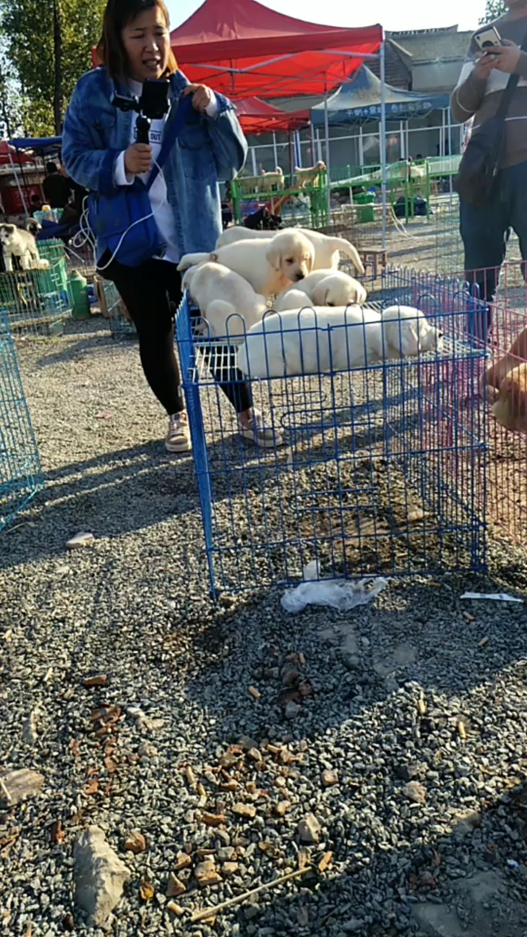 啦不