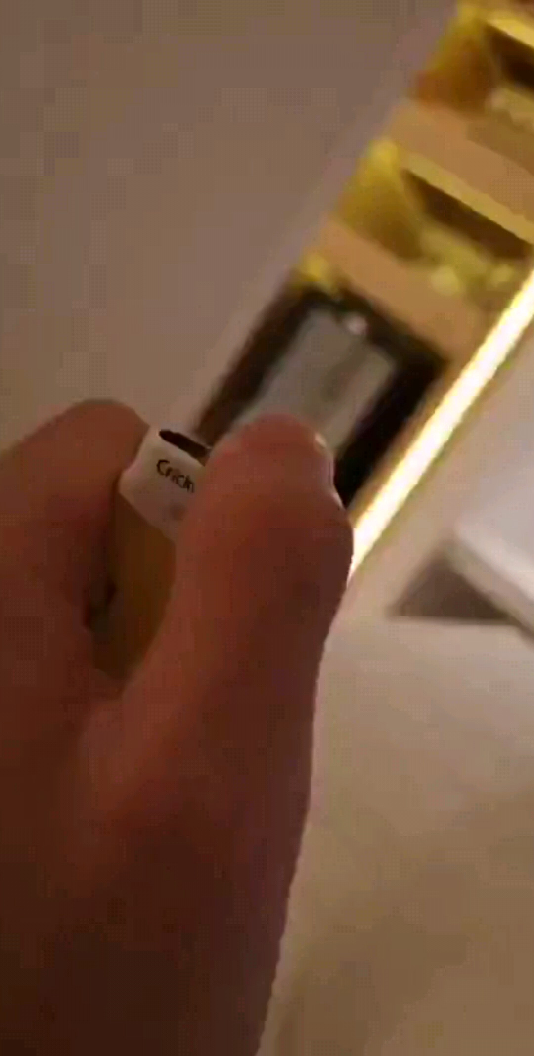 爱情最美丽