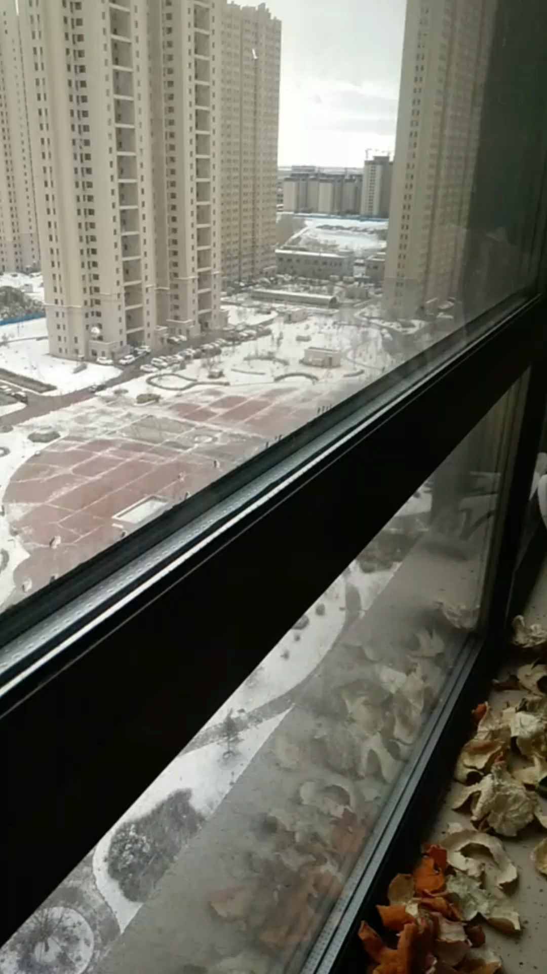 齐齐哈尔下大雪了，有点早