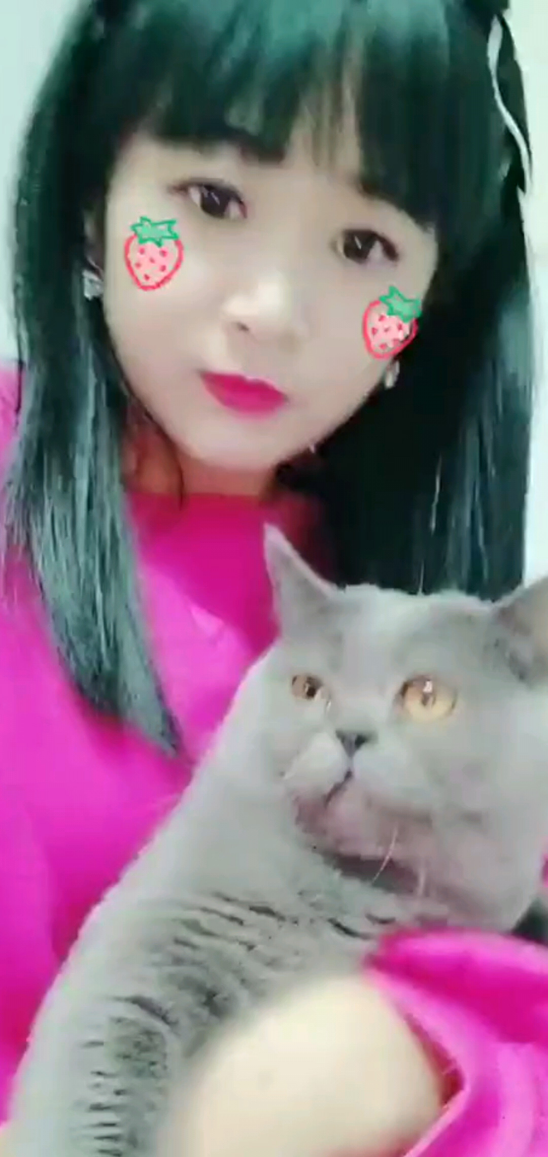 小猫咪 晚安
