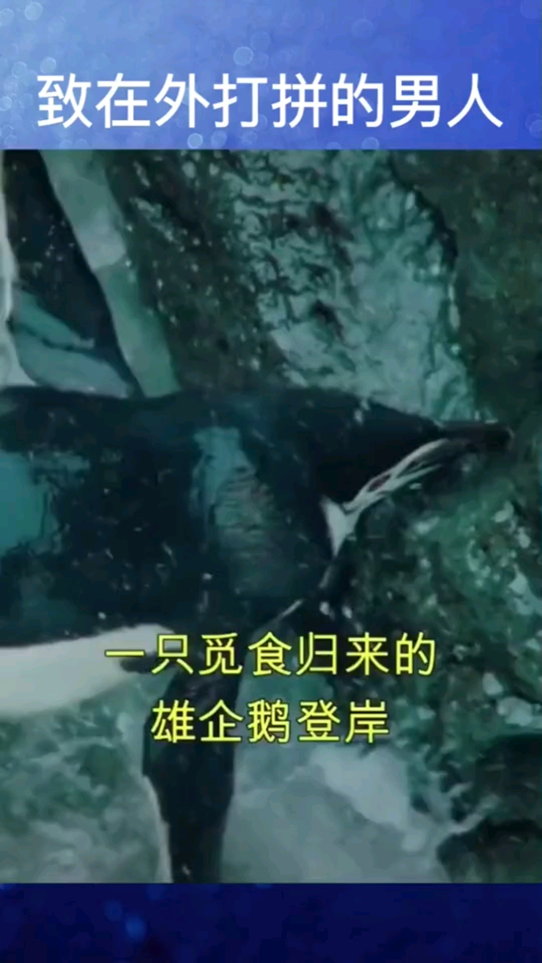 致……