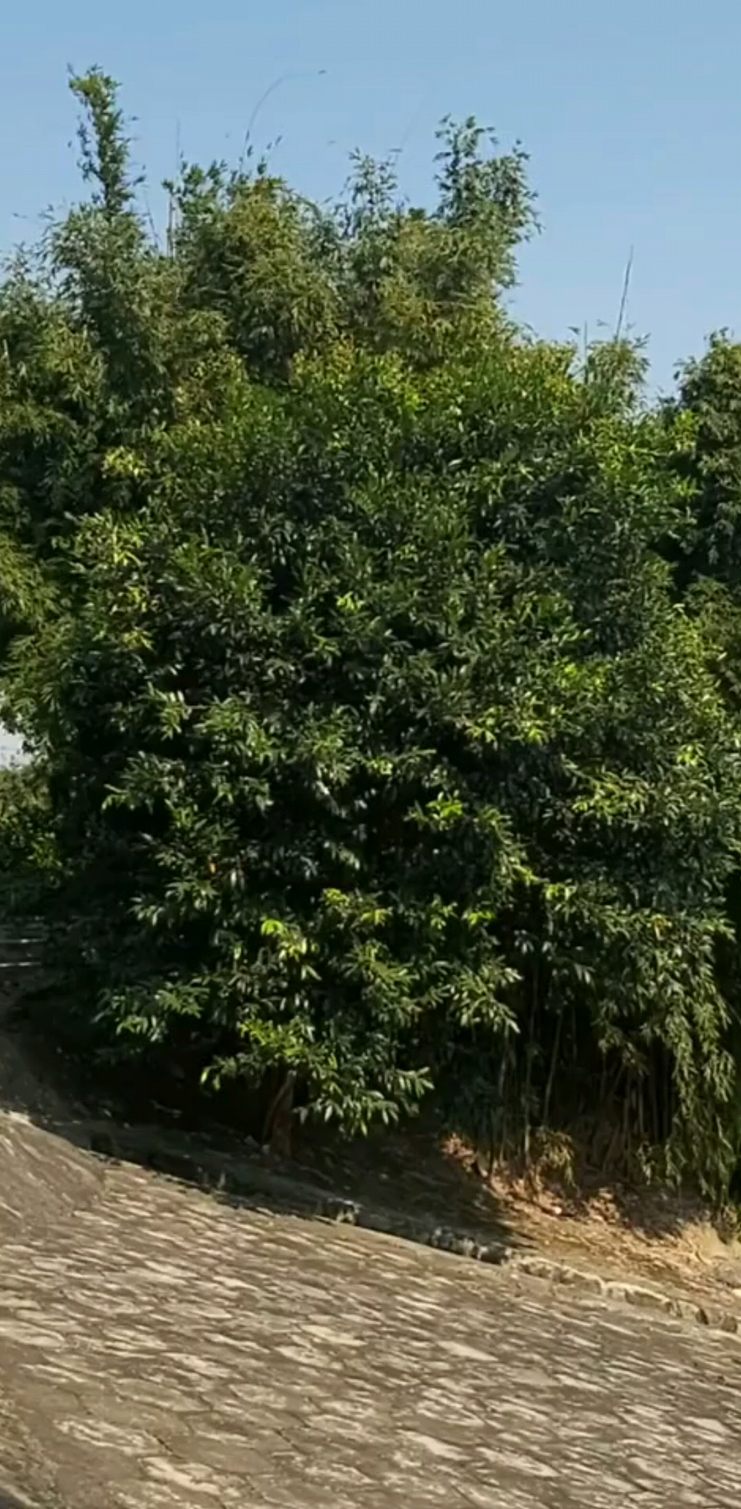 标题水库拍摄影景