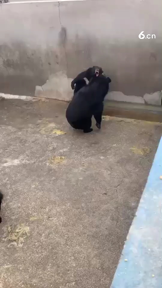 就问你服不服😄