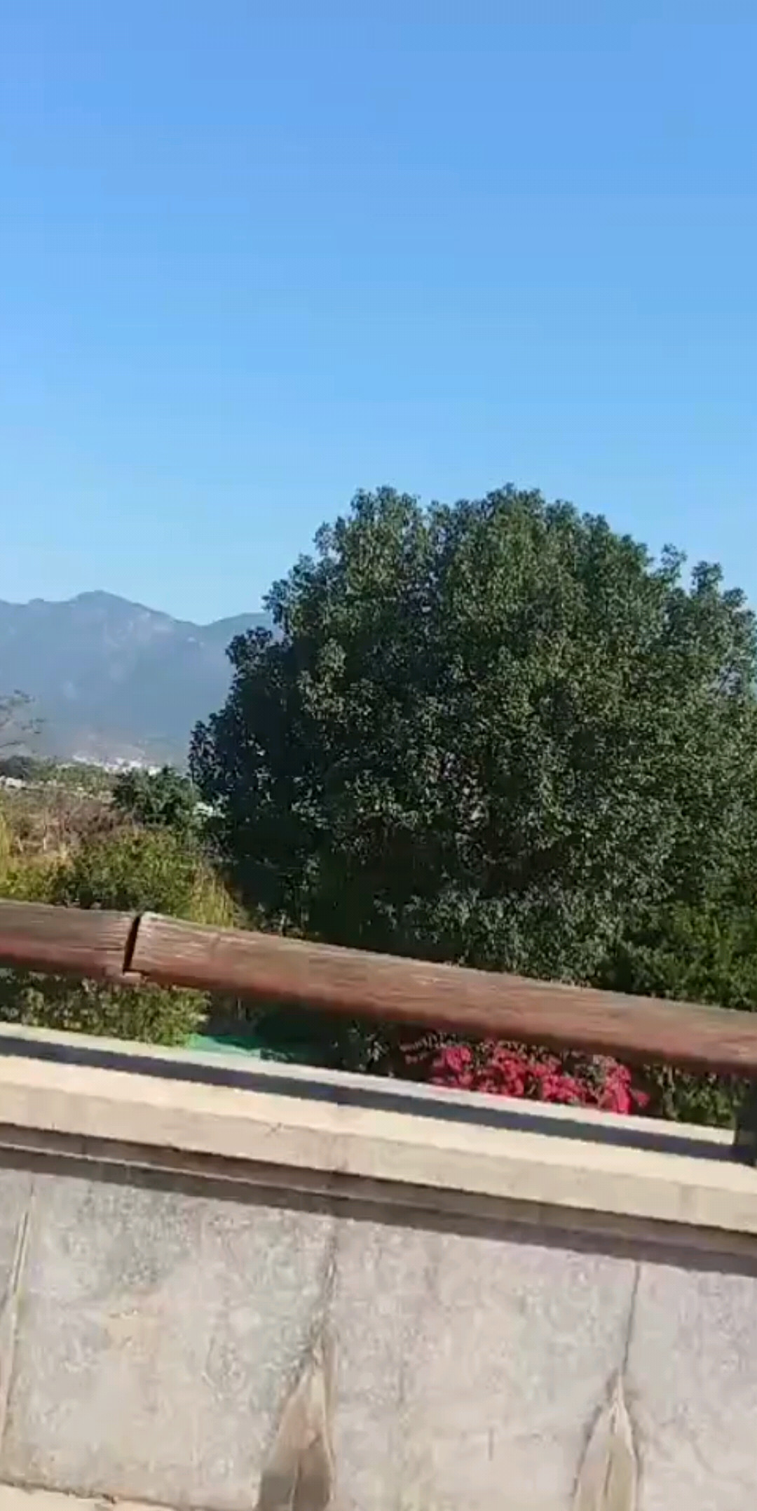 又跑出去散散心了.又来嘚瑟一下