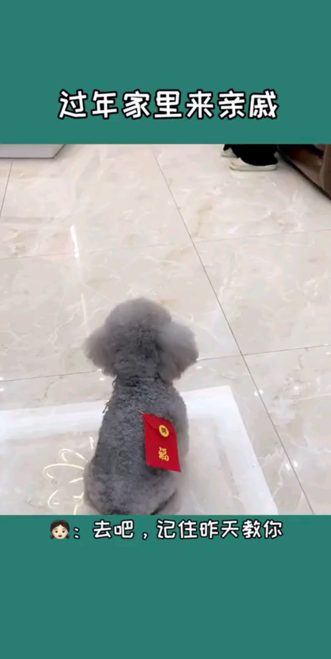 用你的时候到了
