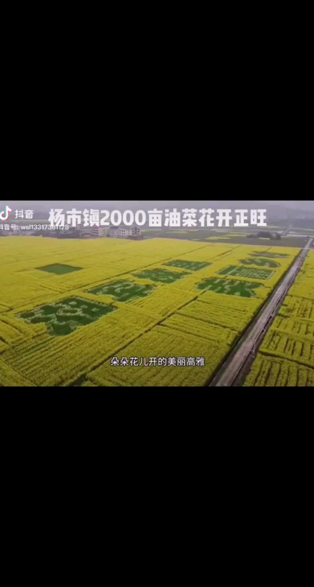 家乡的油菜花真漂亮