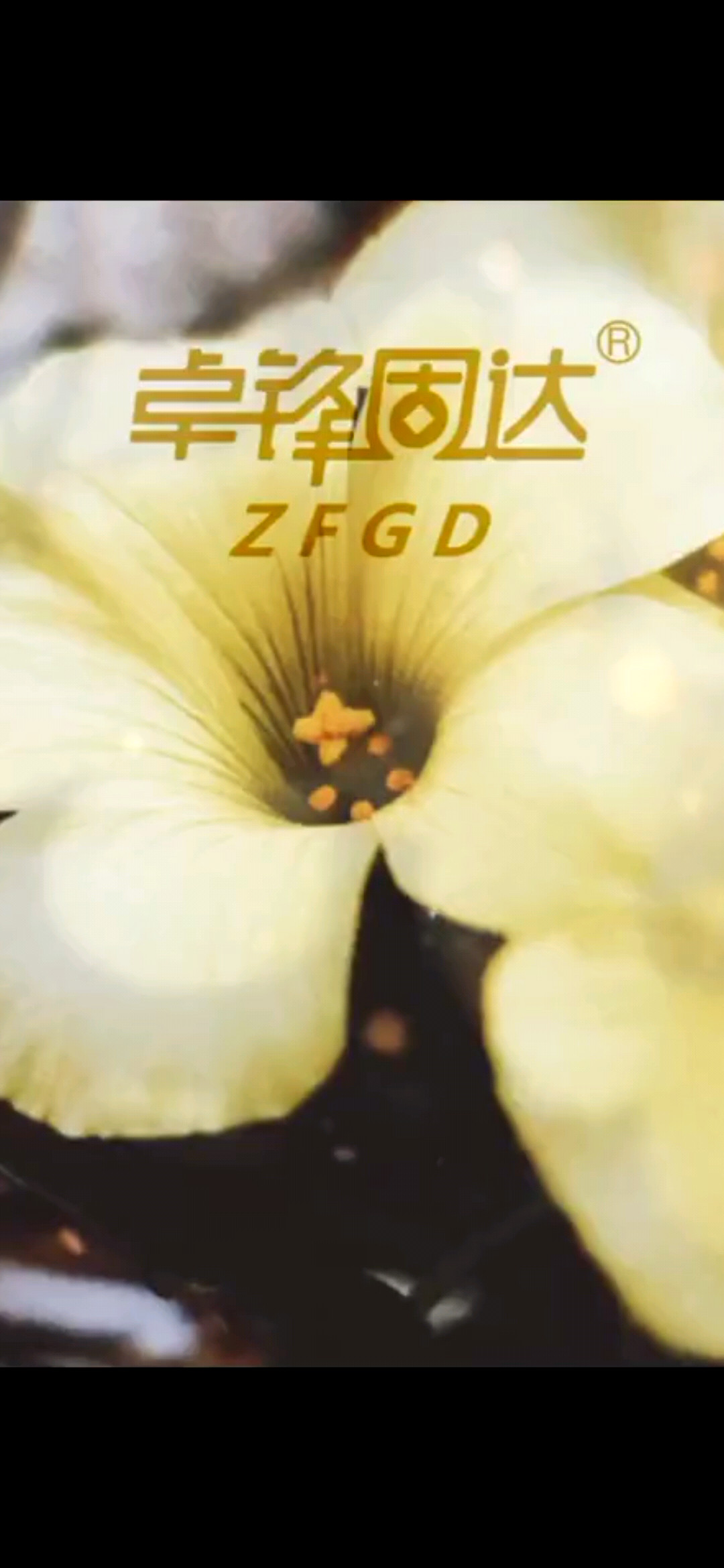 君子之交，交于境界－卓锋固达