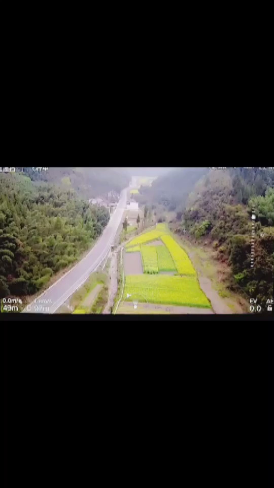 去西藏第9天，竹海的早晨