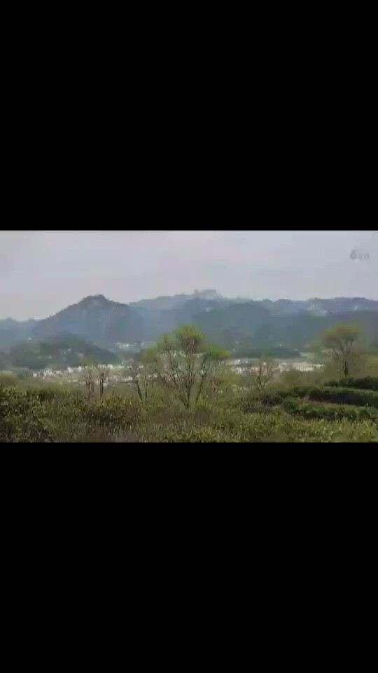 这