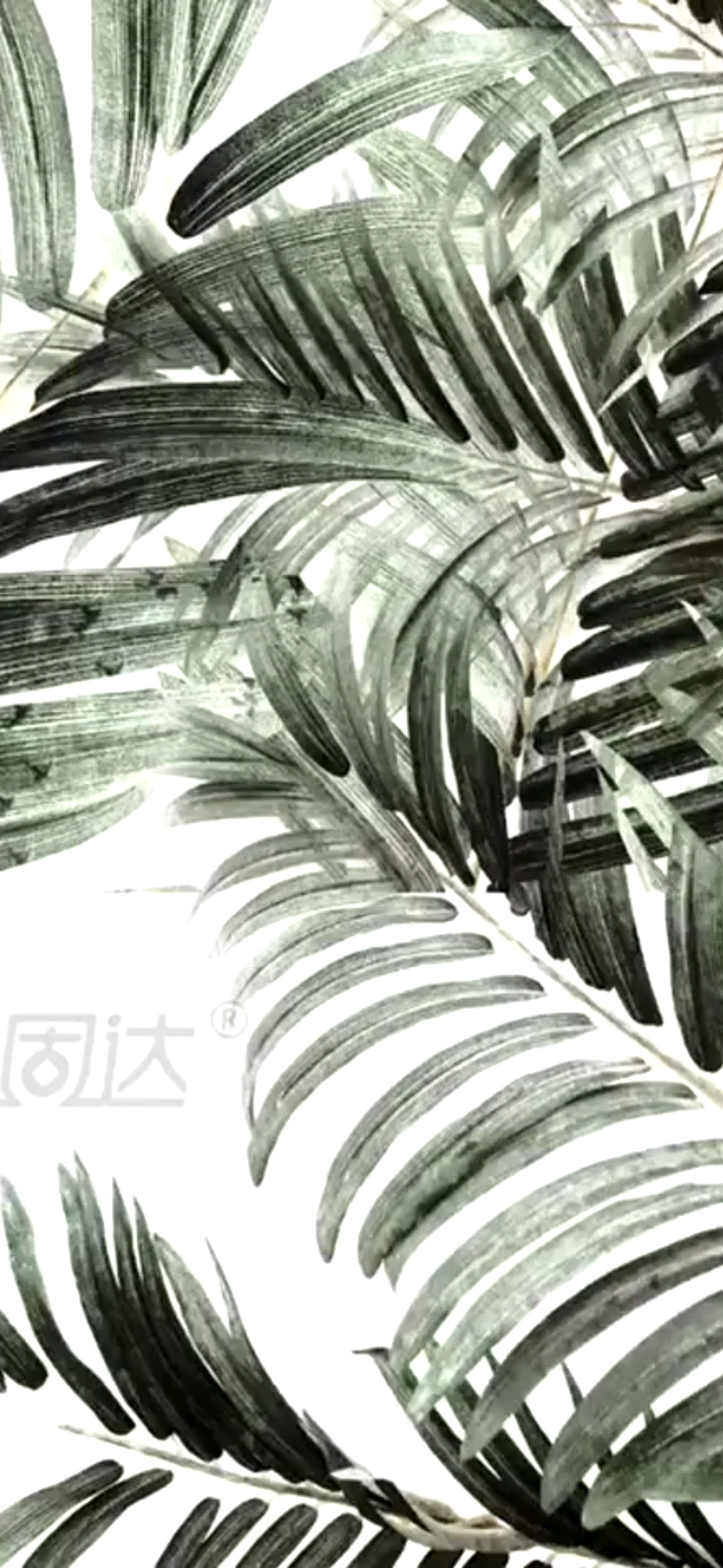 选势比选事重要－卓锋固达