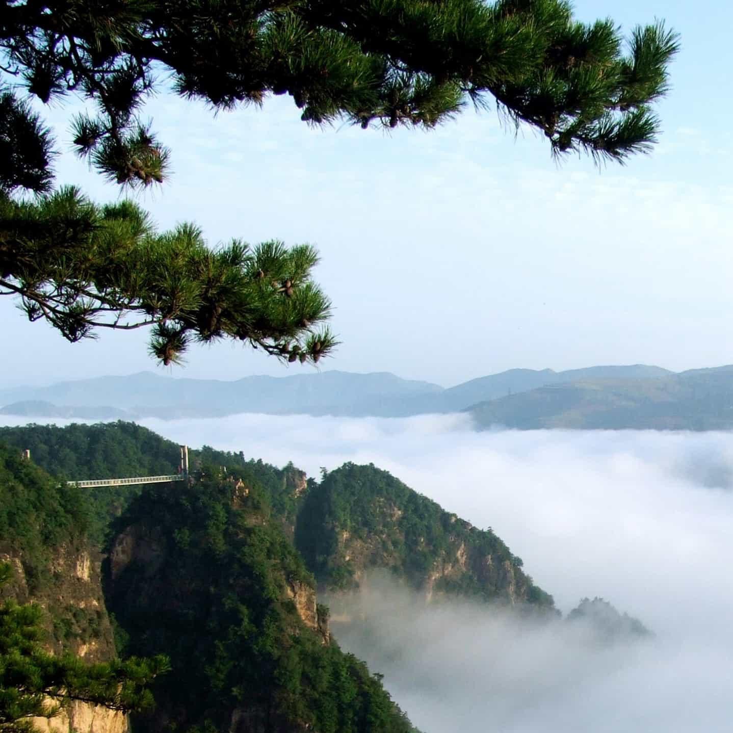 万水千山💏海报