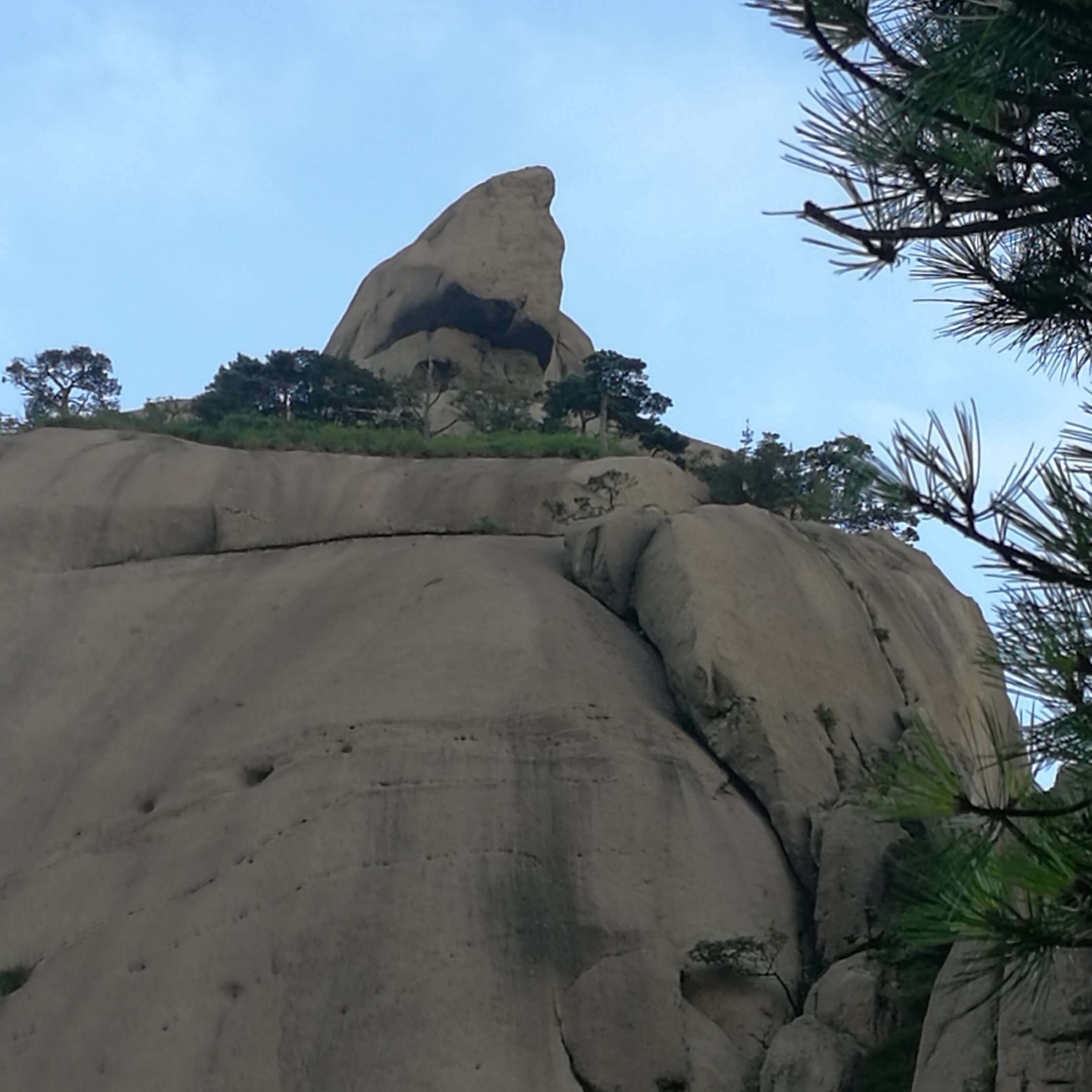 闲能过客海报