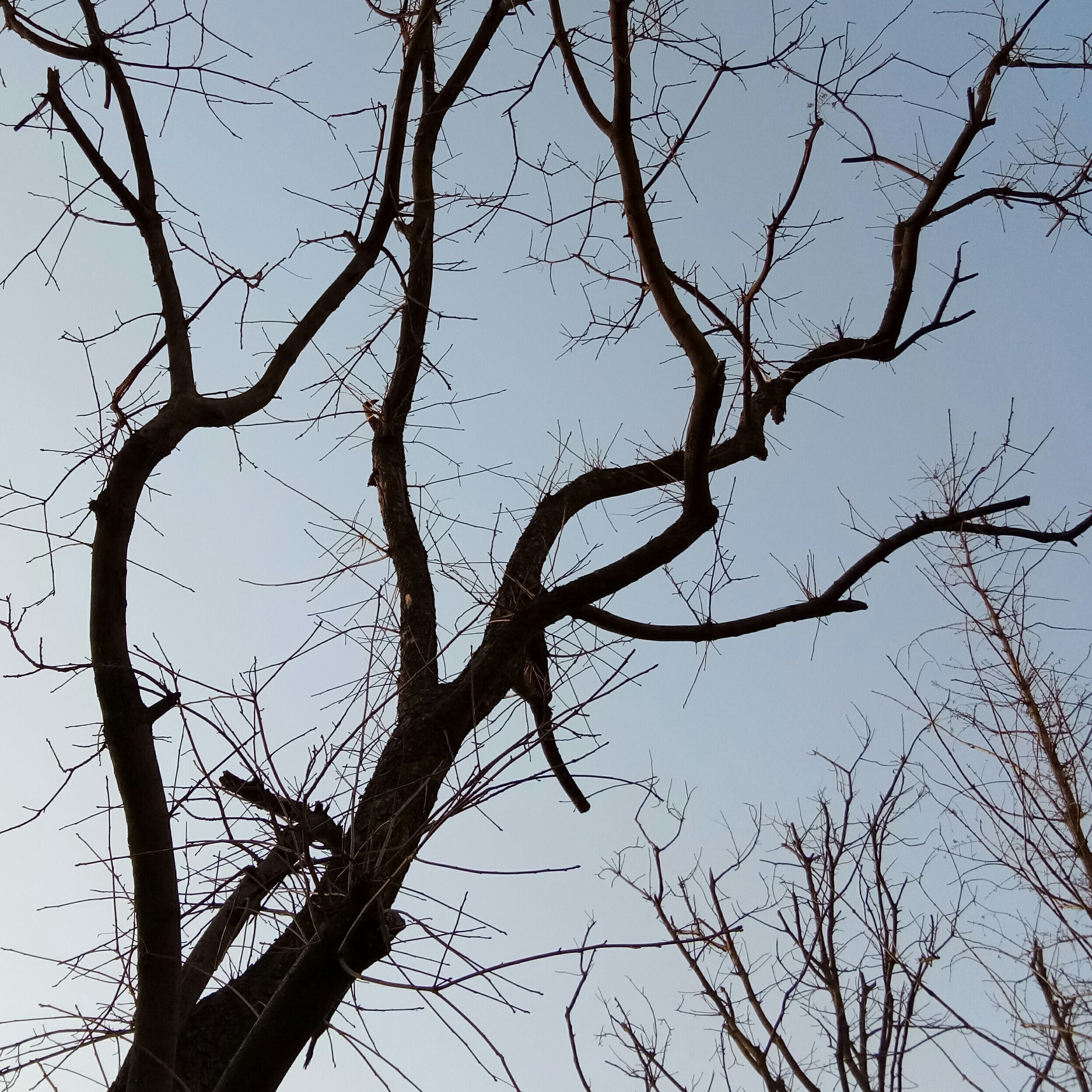 往事如烟121218海报