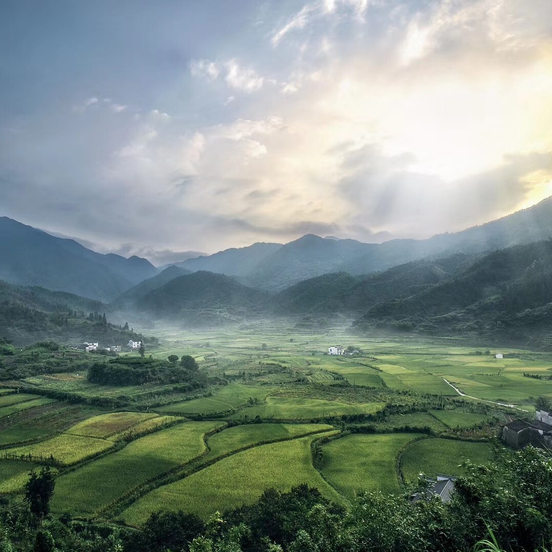 潇湘逸雨海报