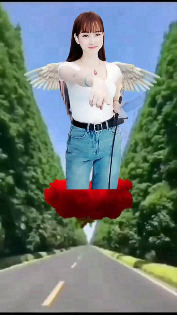 8068