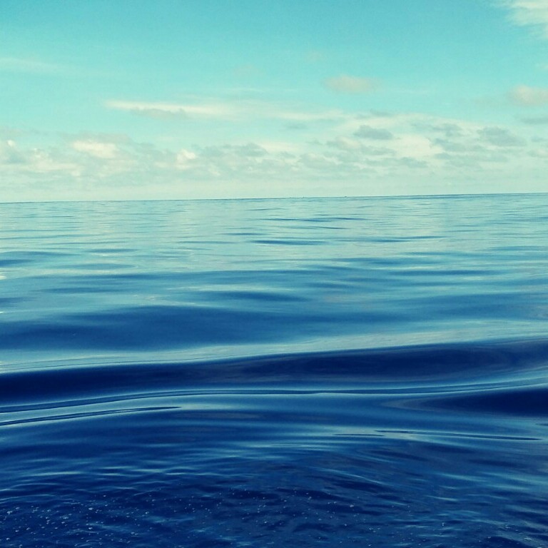 迷茫的醉海报