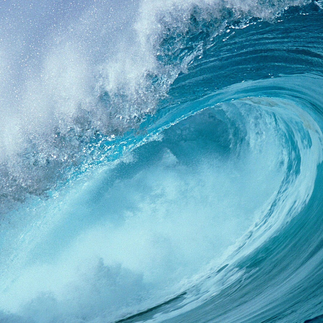 ╰ぺ✿依旧❤如风海报