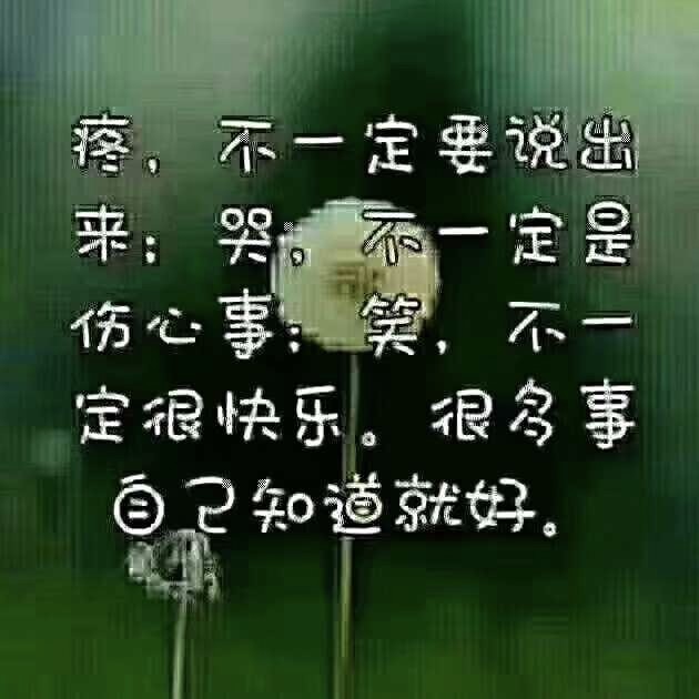 新人☞紫藤花海报