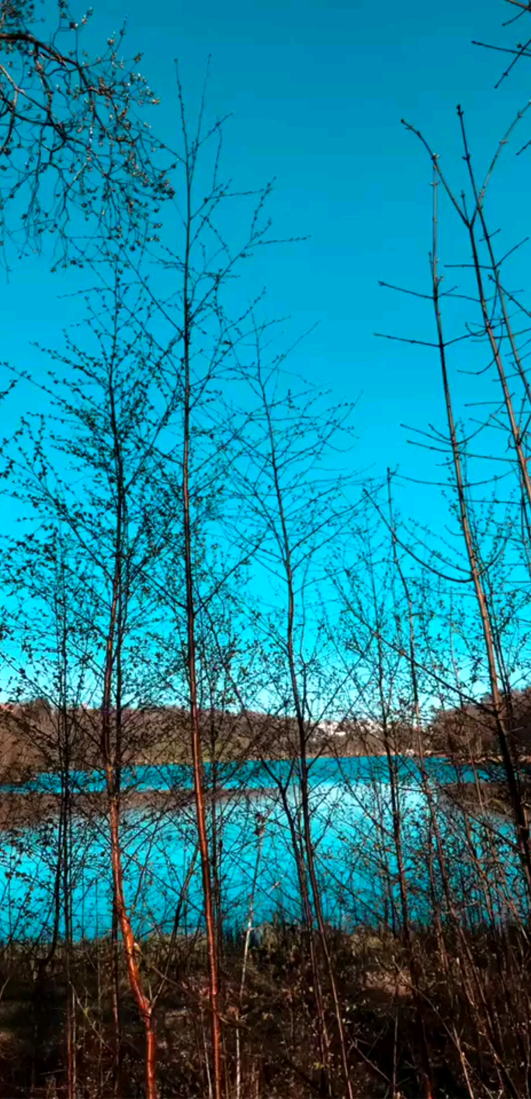 真传一句话，假传万卷书