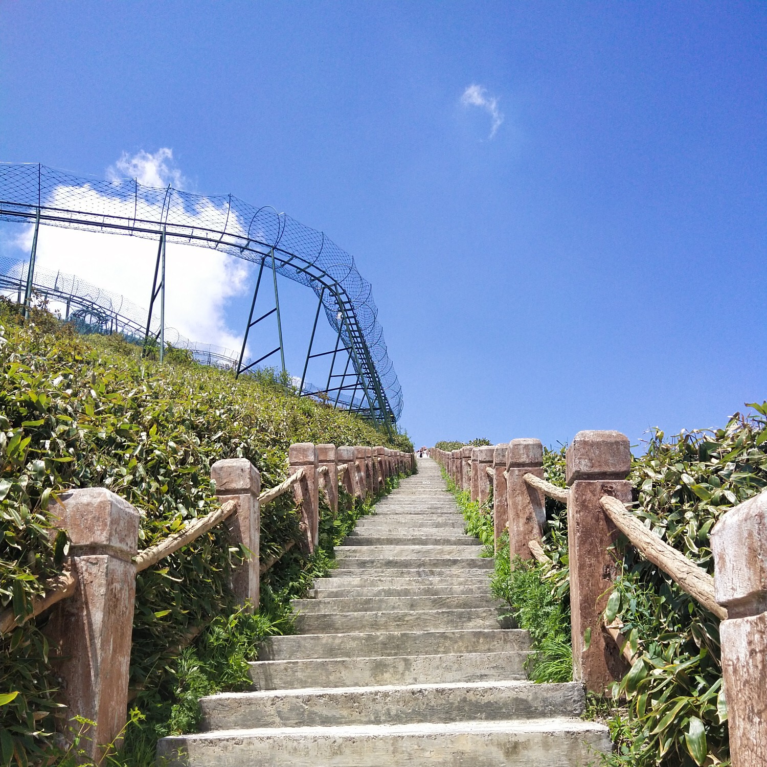 小拳拳我锤死你海报