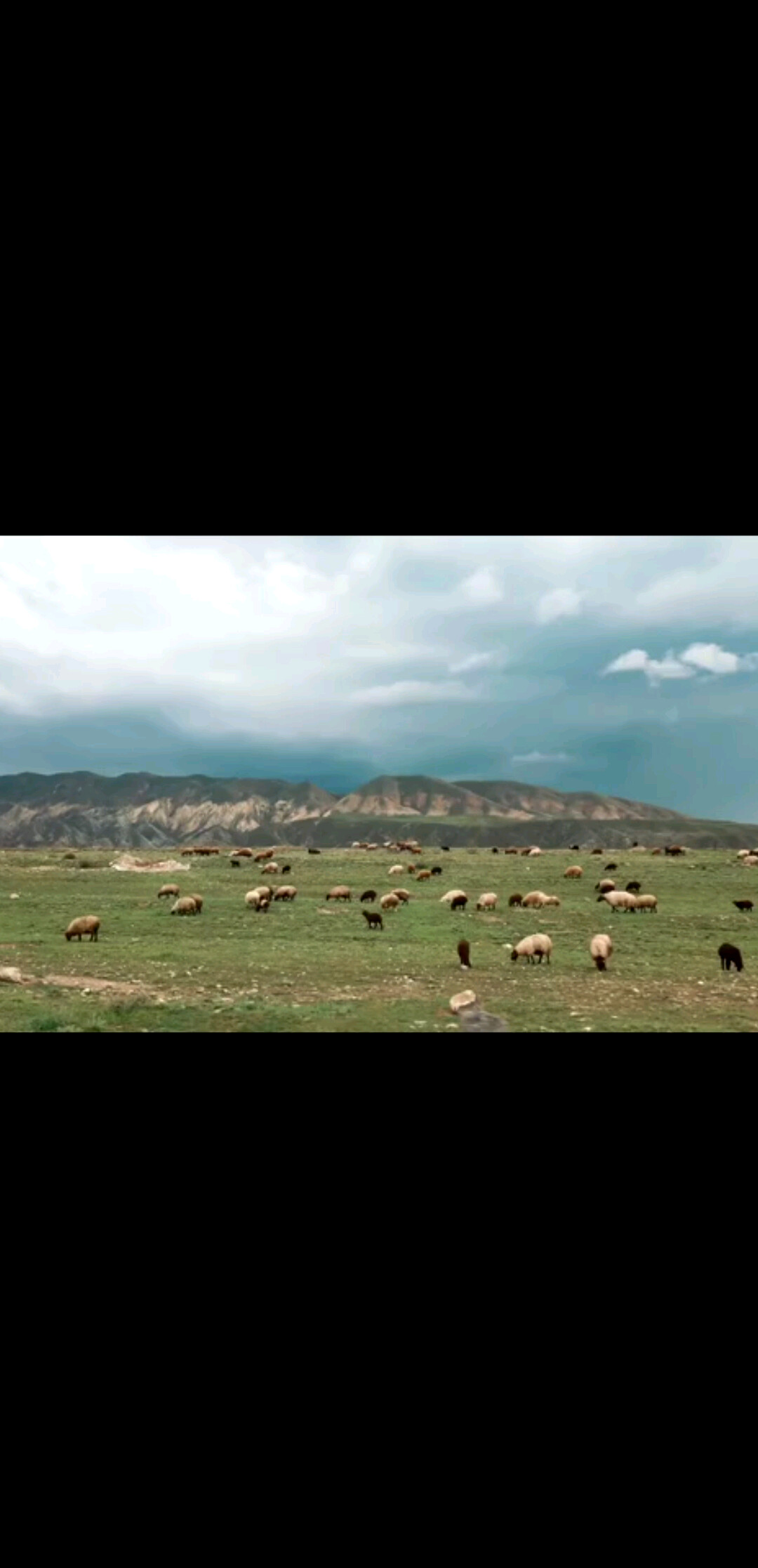 承载财富的能力需要练习