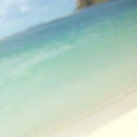 萌新宝宝y56海报
