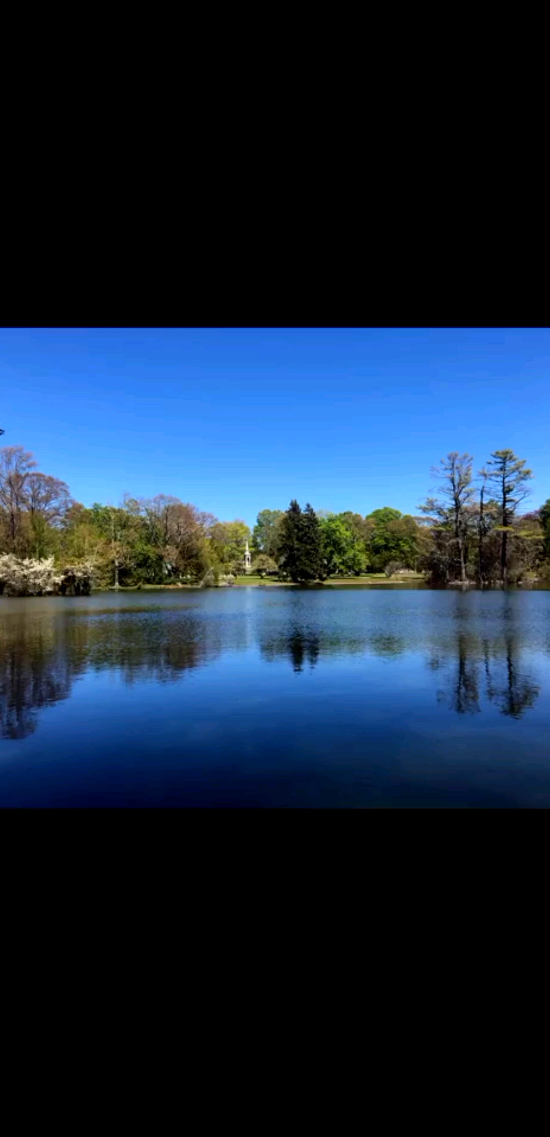 远离价值的永远是陷阱