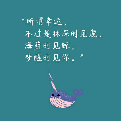 拾荒姑娘啊海报