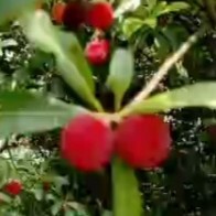昵称违规，请重新修改海报