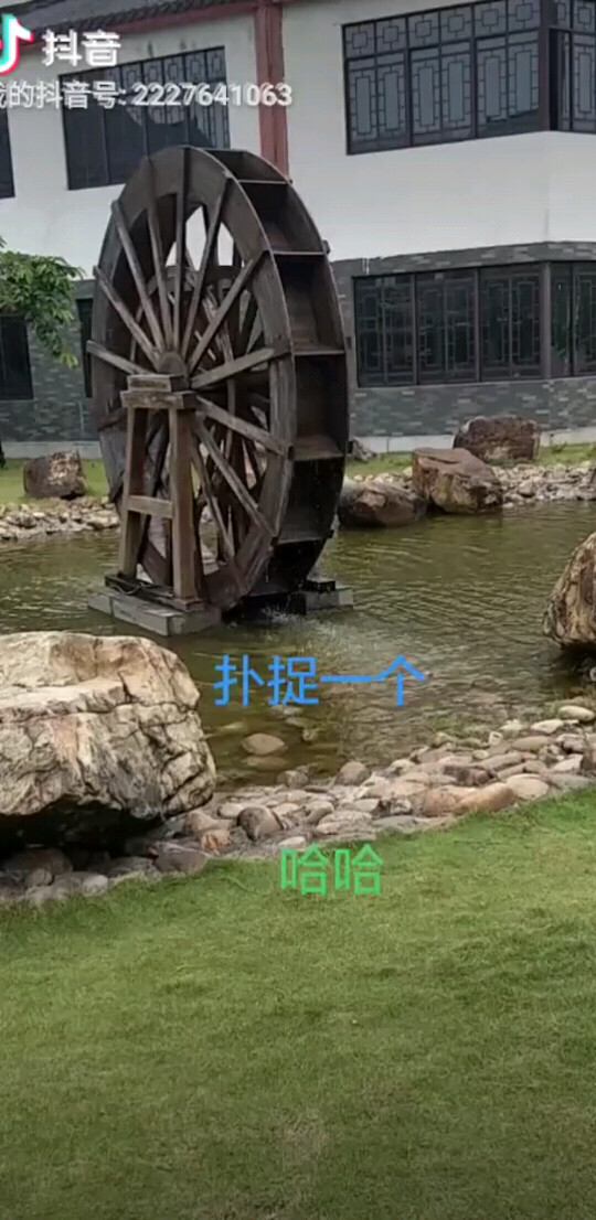 公园扑捉一个蝴蝶，哈哈哈