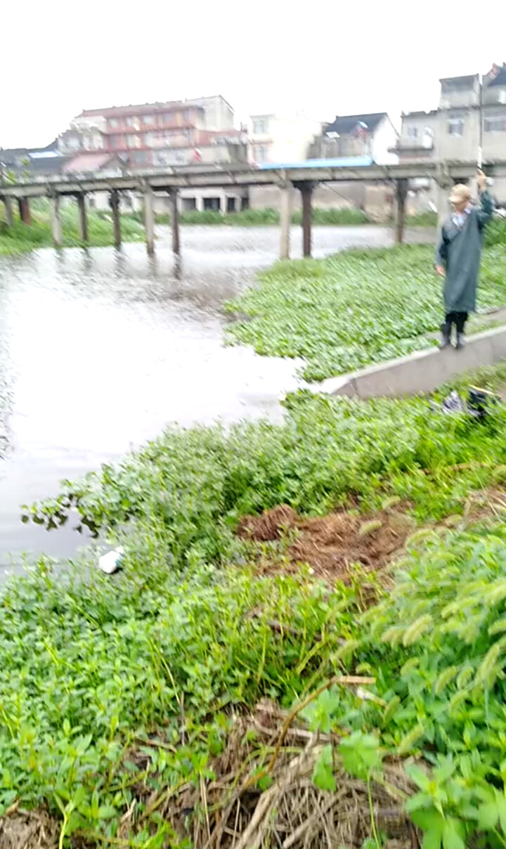 下雨钓了一条鱼
