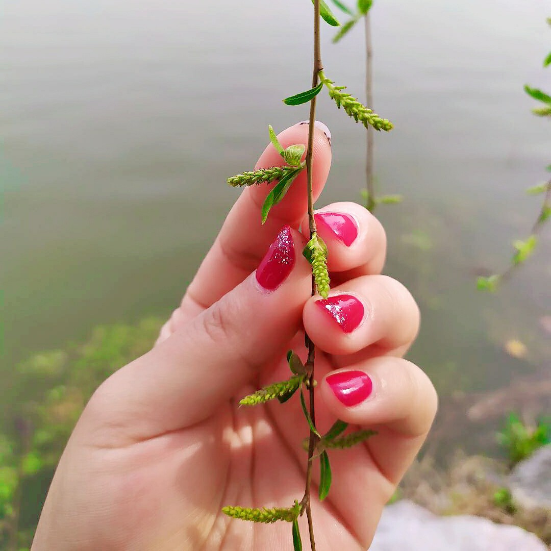 烟儿☞海报