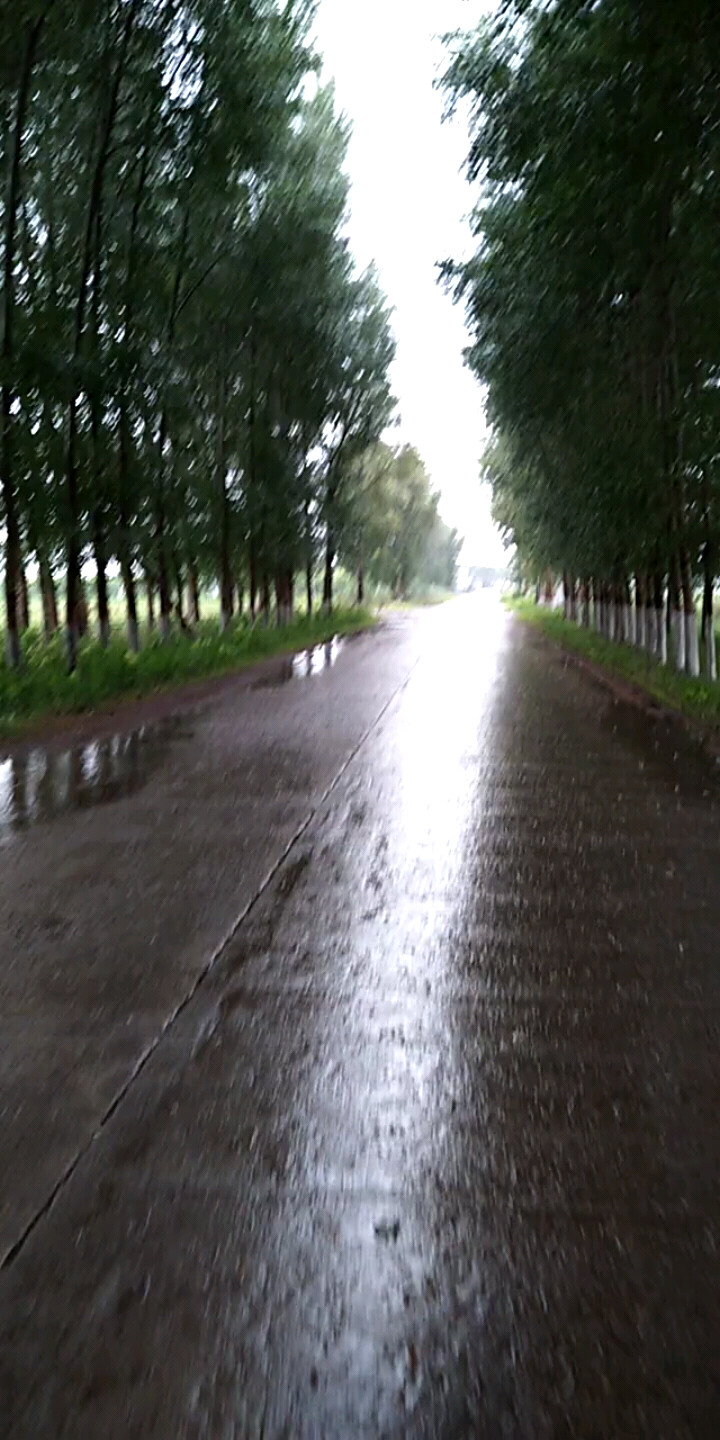 东北黑土地～雨中～空气贼好