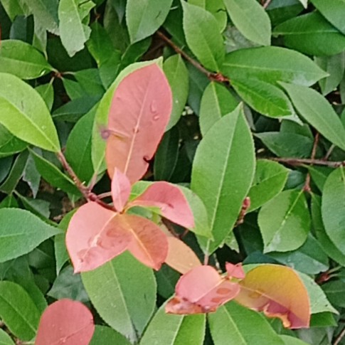 此账号已注销海报
