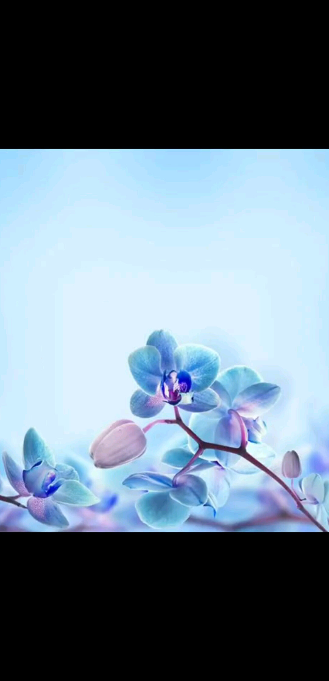 男人要的是信任女人要的是关心