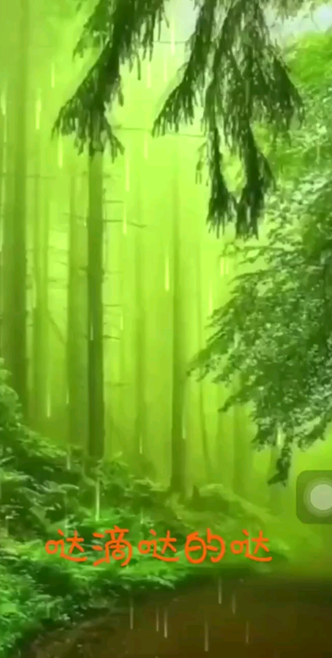 哒滴哒