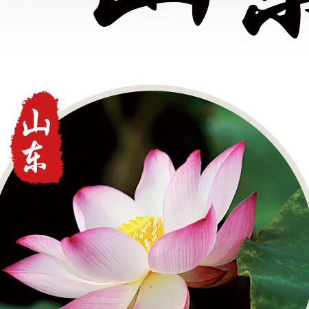 邪神王爷🍃海报
