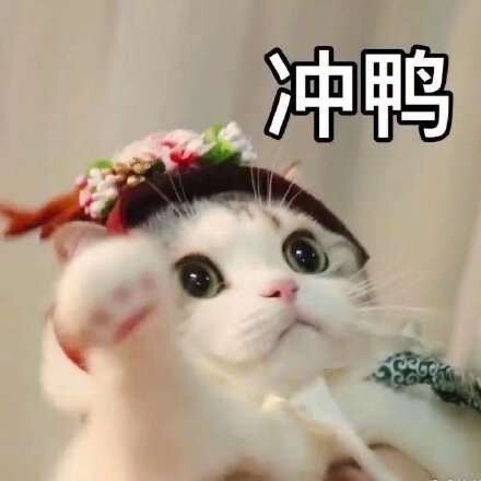 安安🌹二少爷海报