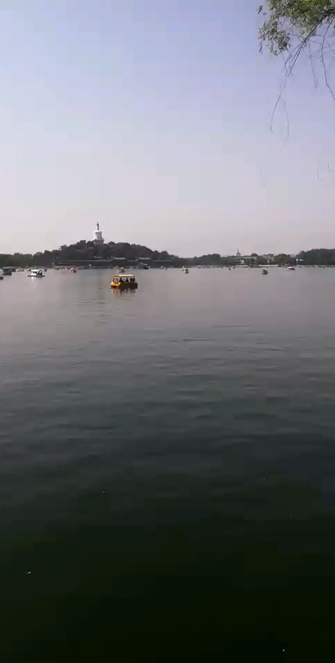 家人们好，明天阿冯北海公园直播