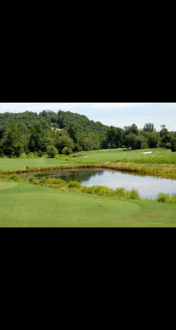 只有谎言才拼命鼓吹唯恐别人不信